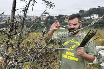 Einsatz gegen den Vogelfang mit Leimruten im Libanon